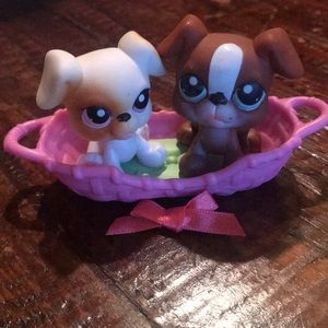 Littlest pet shop boxers